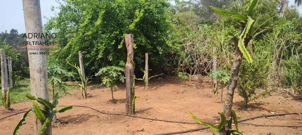 Fazenda à venda de 400 ha em Tuiuti, SP, Brasil