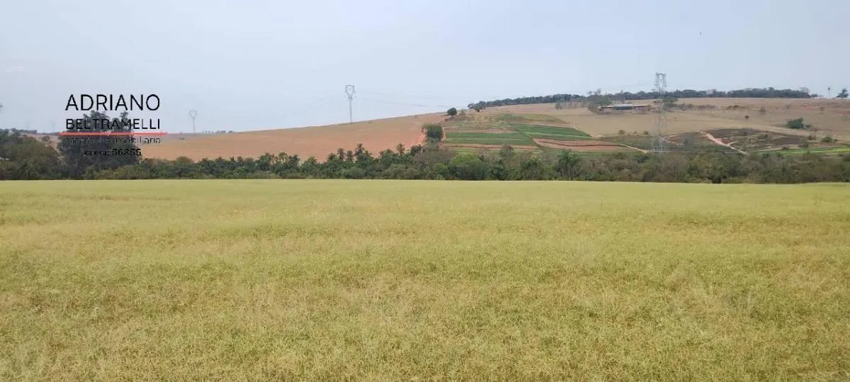 Fazenda à venda de 400 ha em Tuiuti, SP, Brasil