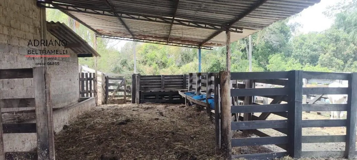 Fazenda à venda de 400 ha em Tuiuti, SP, Brasil