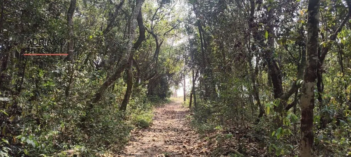 Fazenda à venda de 400 ha em Tuiuti, SP, Brasil