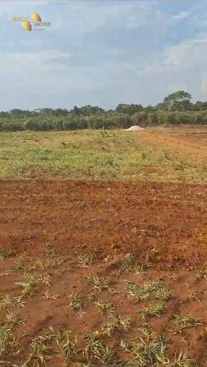 Fazenda à venda de 220 ha em São José do Rio Claro, MT, Brasil