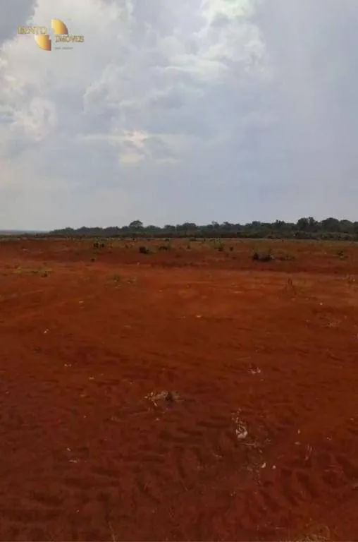 Fazenda à venda de 220 ha em São José do Rio Claro, MT, Brasil