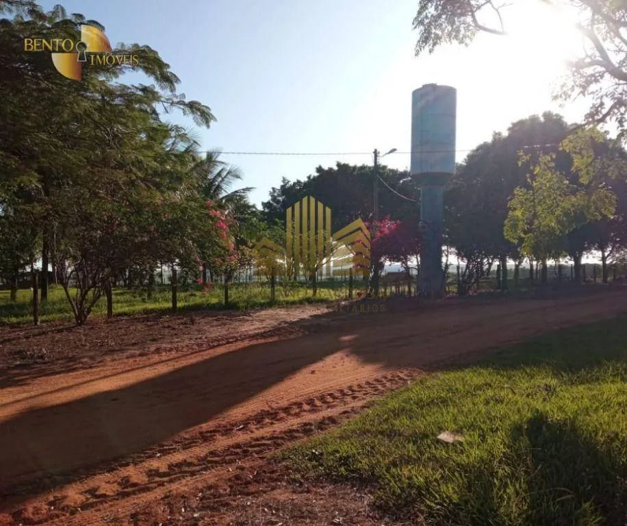 Fazenda à venda de 775 ha em Primavera do Leste, MT, Brasil