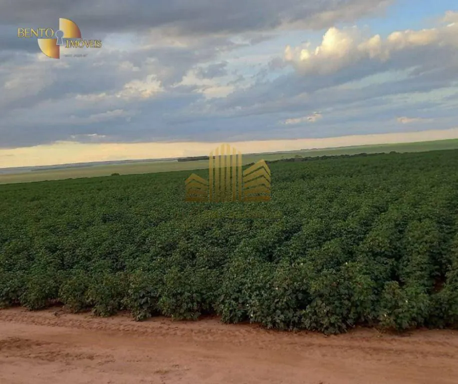 Fazenda à venda de 775 ha em Primavera do Leste, MT, Brasil