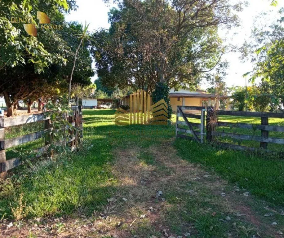 Fazenda à venda de 775 ha em Primavera do Leste, MT, Brasil