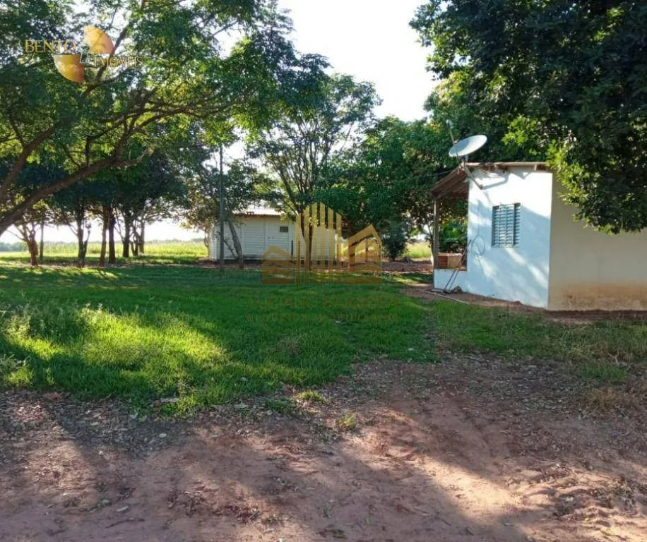Fazenda à venda de 775 ha em Primavera do Leste, MT, Brasil