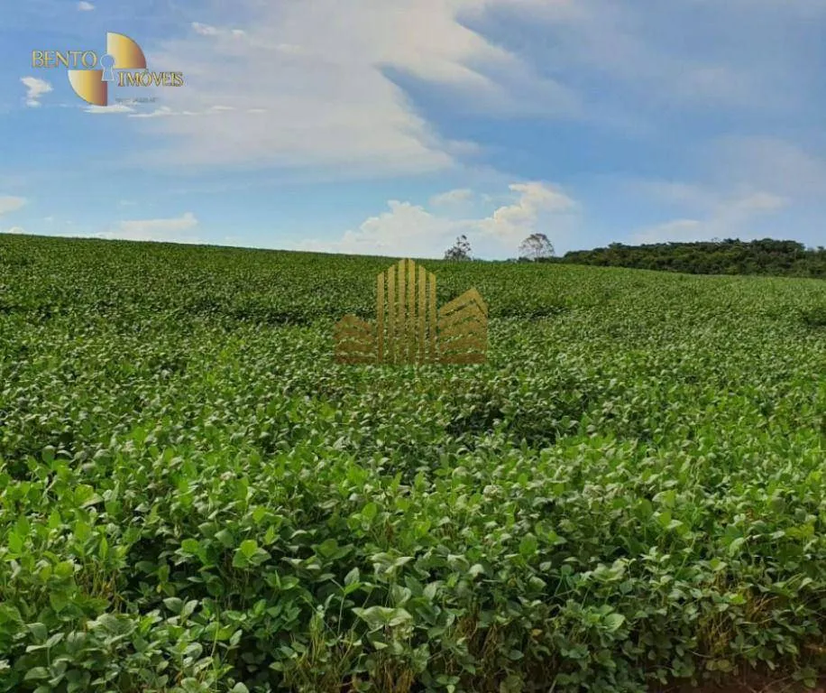 Fazenda à venda de 775 ha em Primavera do Leste, MT, Brasil