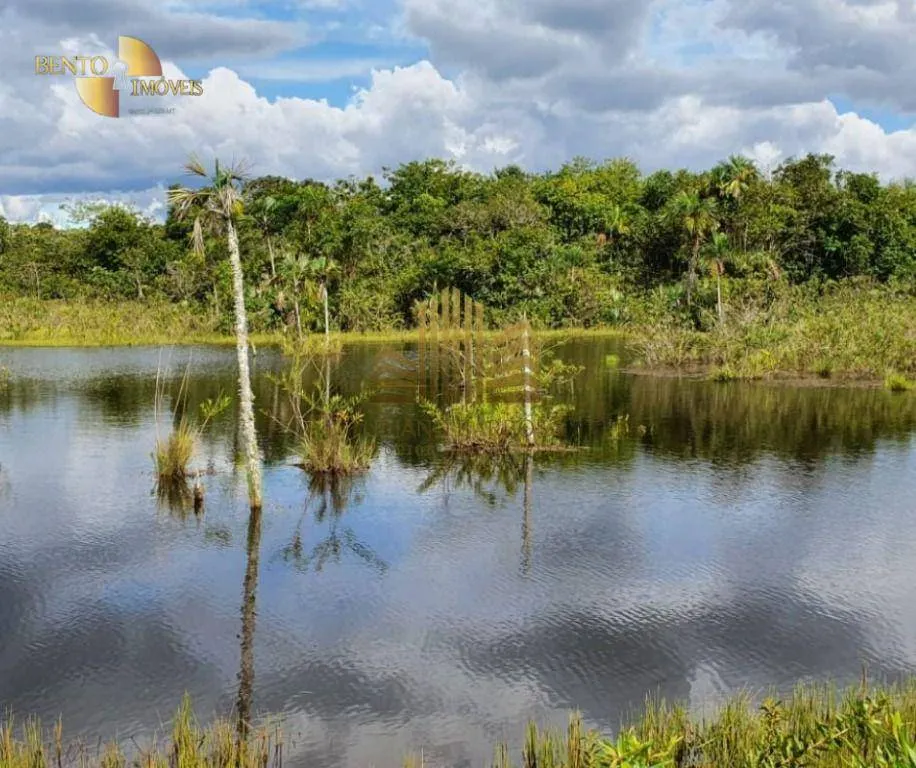 Fazenda à venda de 775 ha em Primavera do Leste, MT, Brasil