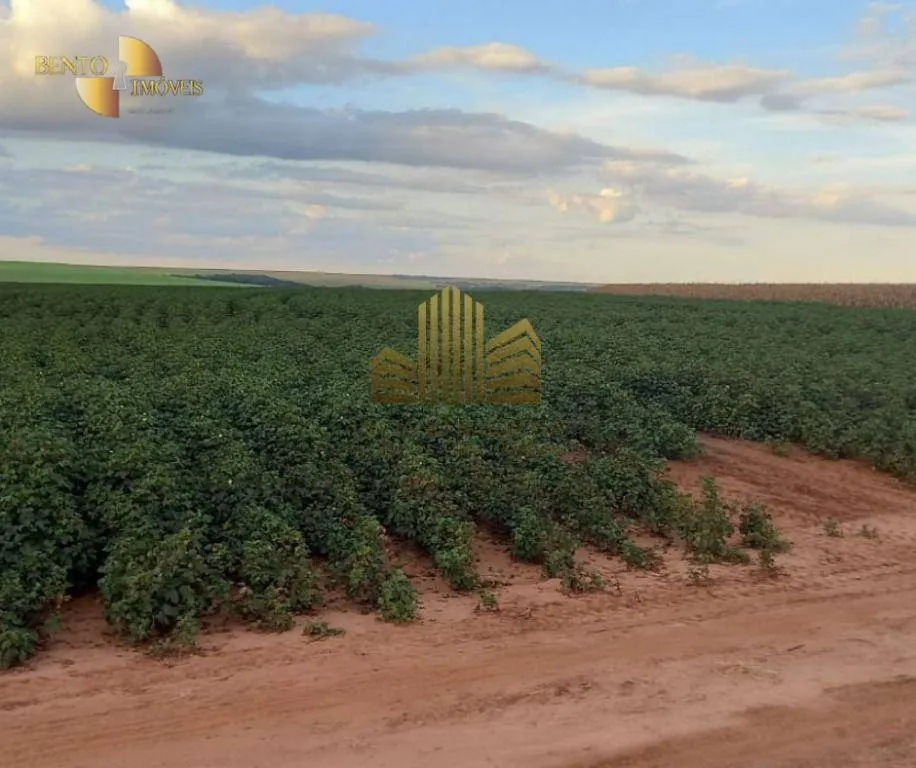 Fazenda à venda de 775 ha em Primavera do Leste, MT, Brasil