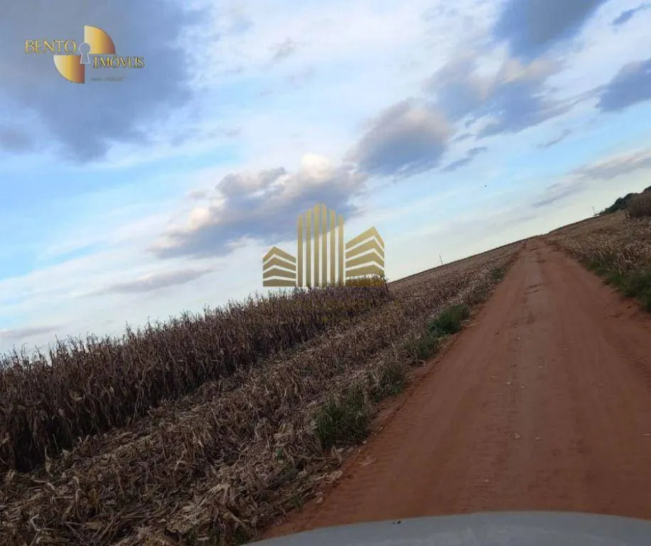 Fazenda à venda de 775 ha em Primavera do Leste, MT, Brasil