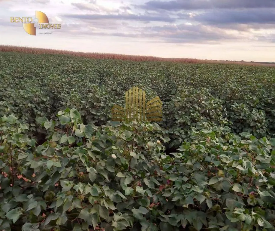Fazenda à venda de 775 ha em Primavera do Leste, MT, Brasil