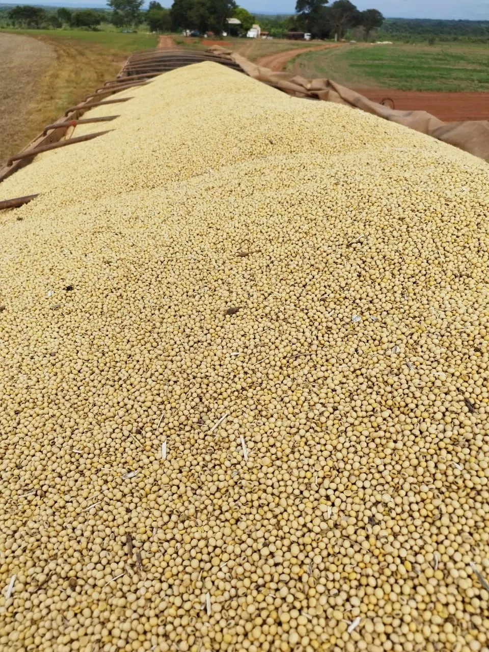 Farm for sale of 1,927 acres in Paracatu, MG, Brazil