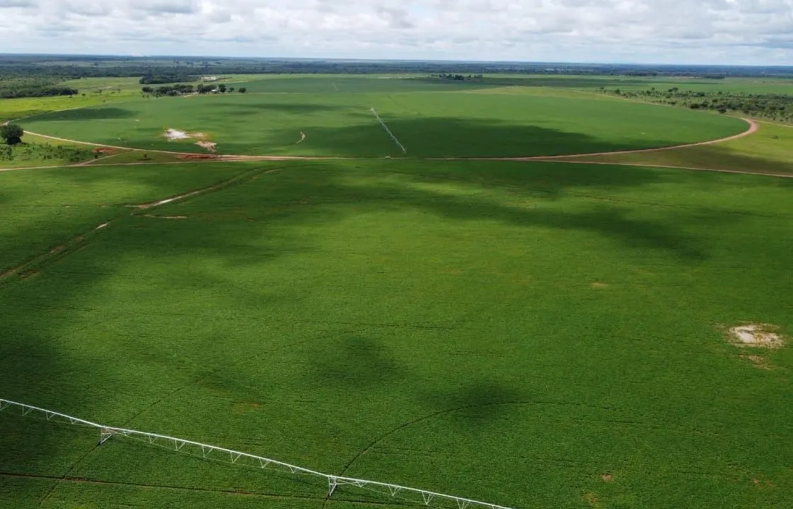 Farm for sale of 1,927 acres in Paracatu, MG, Brazil