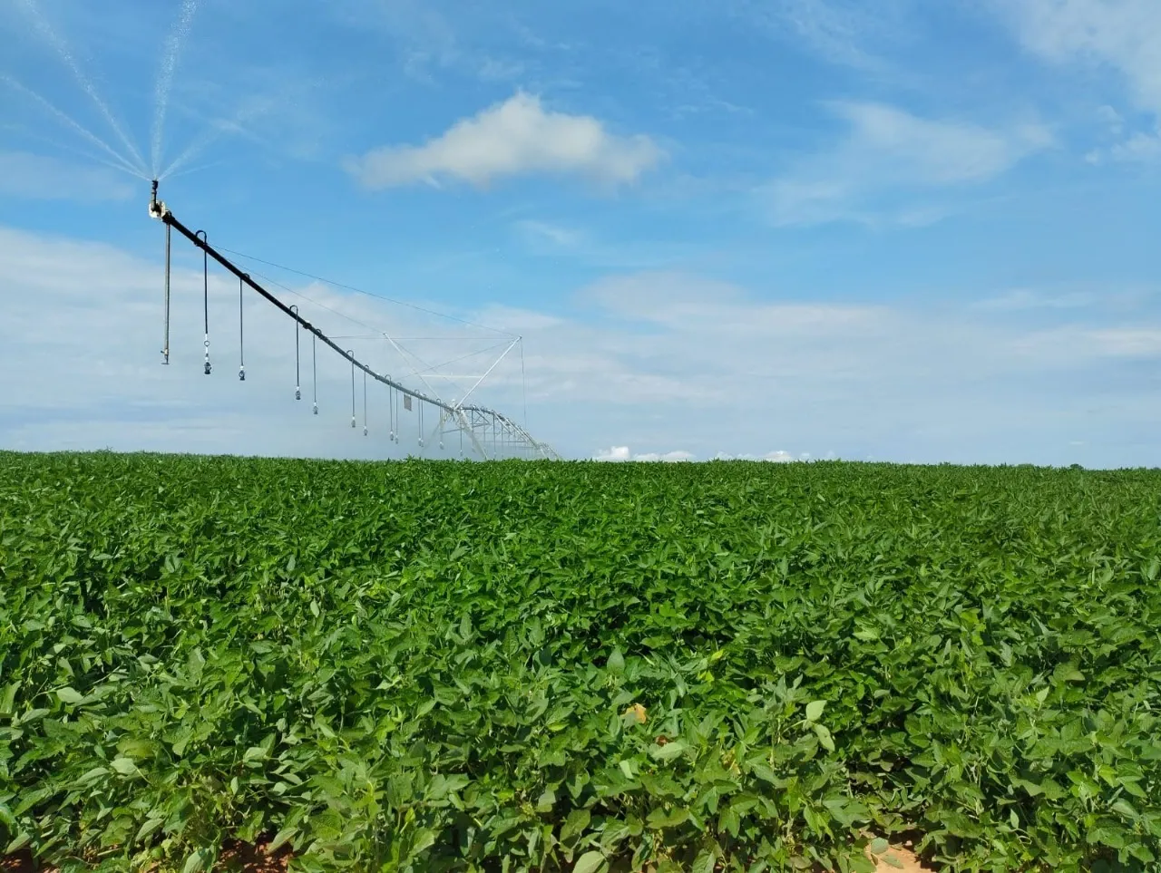 Farm for sale of 1,927 acres in Paracatu, MG, Brazil