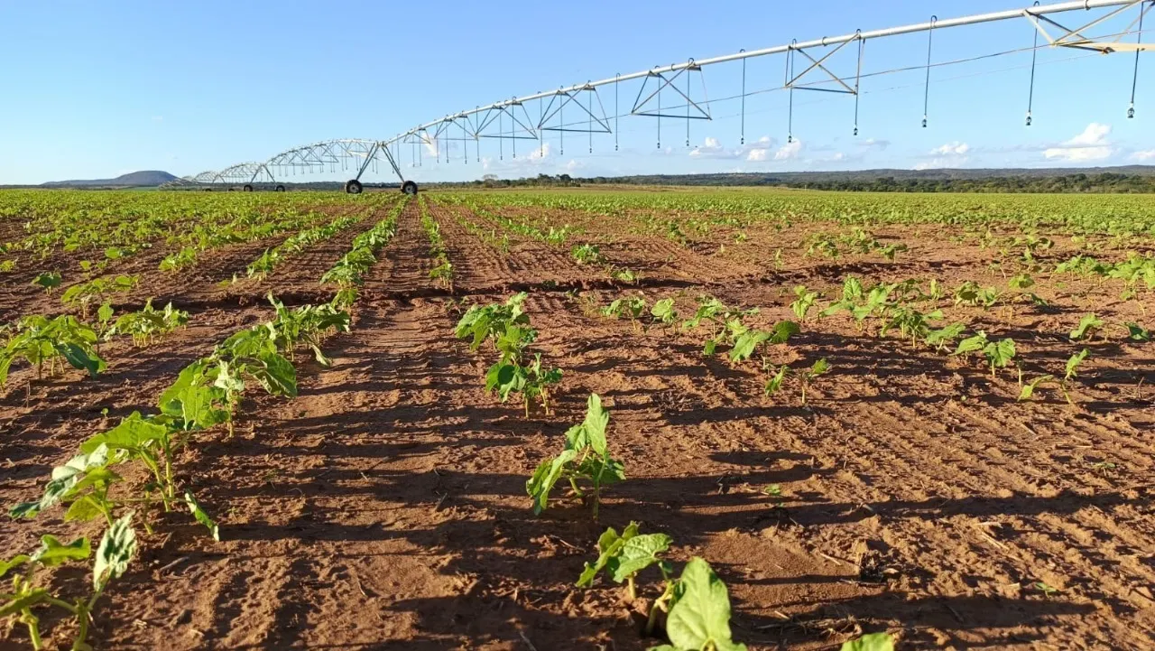 Farm for sale of 1,927 acres in Paracatu, MG, Brazil