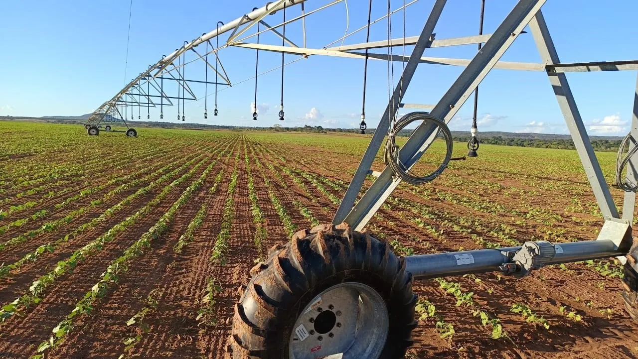 Farm for sale of 1,927 acres in Paracatu, MG, Brazil