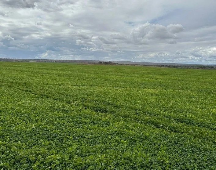Farm for sale of 1,927 acres in Paracatu, MG, Brazil