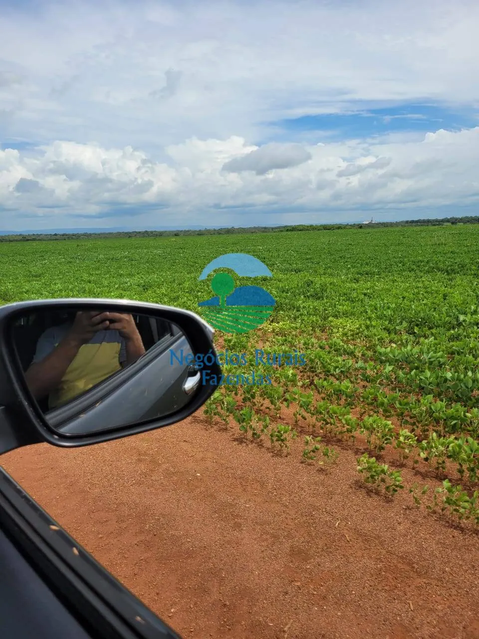 Fazenda à venda de 513 ha em Silvanópolis, TO, Brasil