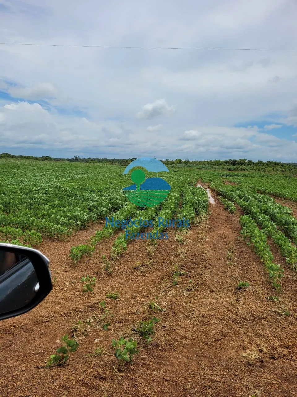 Fazenda à venda de 513 ha em Silvanópolis, TO, Brasil