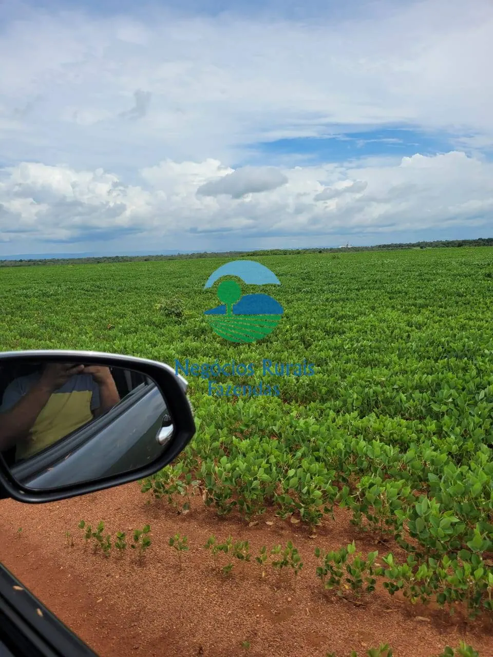 Fazenda à venda de 513 ha em Silvanópolis, TO, Brasil