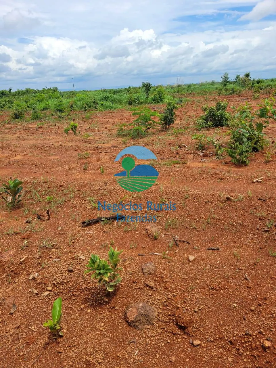 Fazenda à venda de 513 ha em Silvanópolis, TO, Brasil
