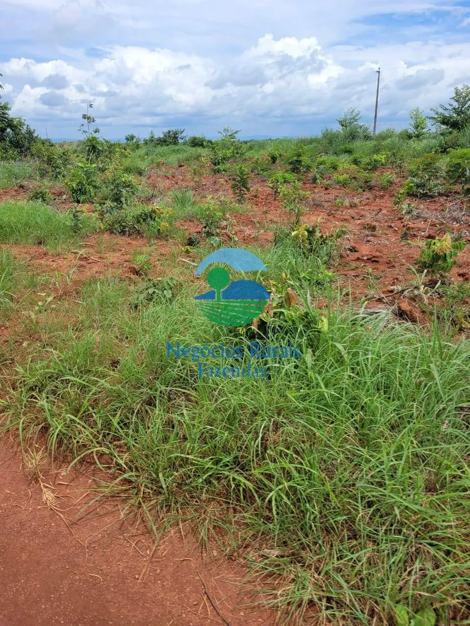 Fazenda à venda de 513 ha em Silvanópolis, TO, Brasil