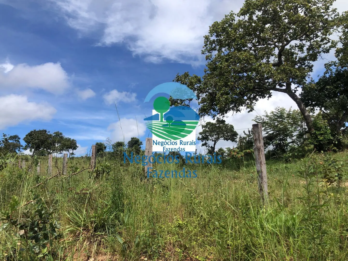 Fazenda à venda de 484 ha em Uruaçu, GO, Brasil