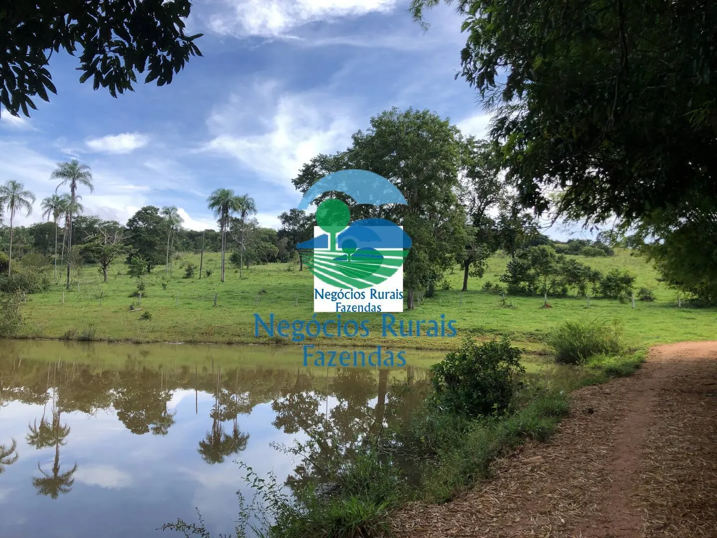 Fazenda à venda de 484 ha em Uruaçu, GO, Brasil