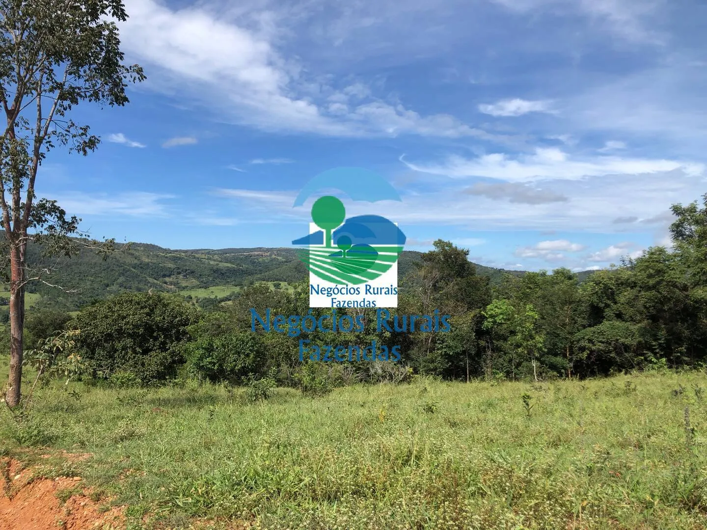 Fazenda à venda de 484 ha em Uruaçu, GO, Brasil