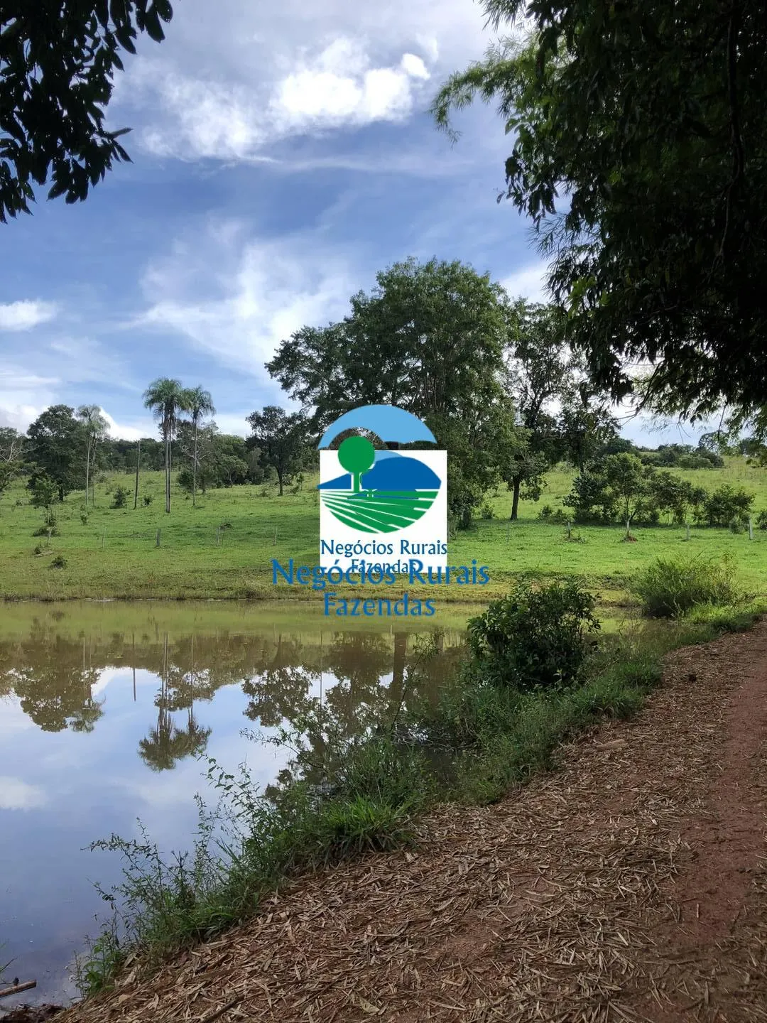 Fazenda à venda de 484 ha em Uruaçu, GO, Brasil