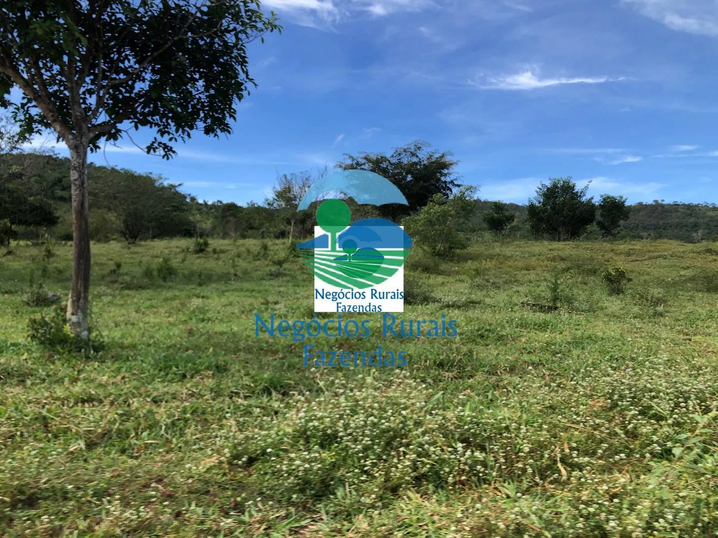 Fazenda à venda de 484 ha em Uruaçu, GO, Brasil