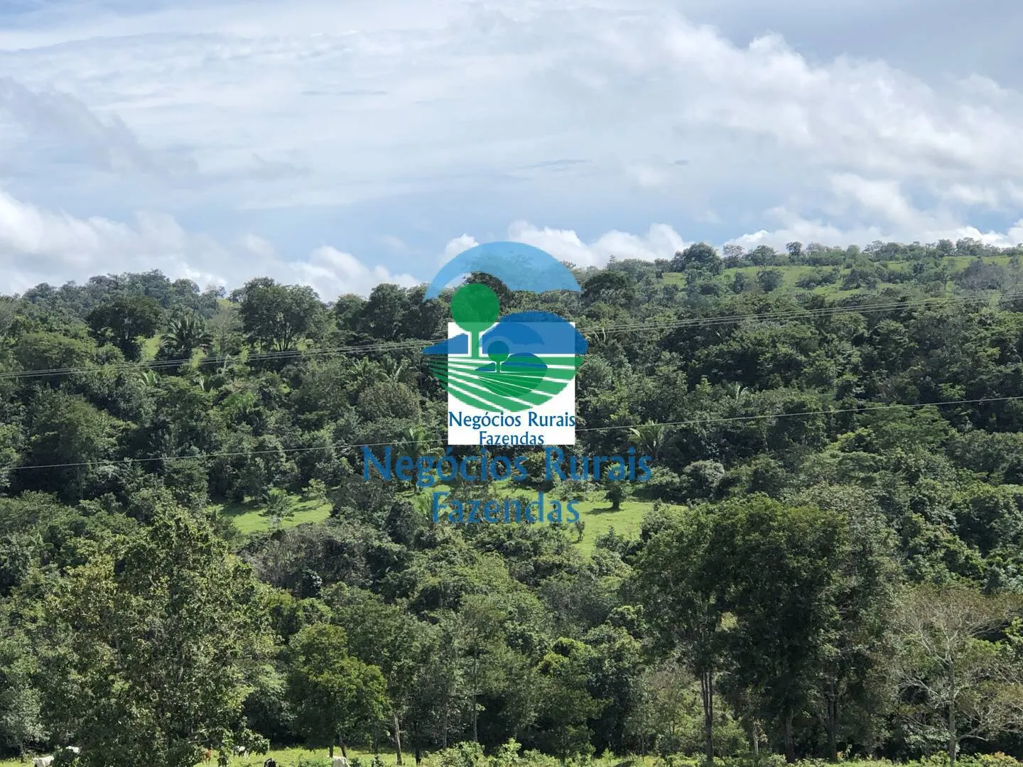 Fazenda à venda de 484 ha em Uruaçu, GO, Brasil