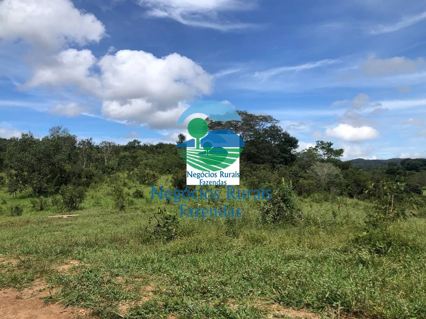 Fazenda à venda de 484 ha em Uruaçu, GO, Brasil