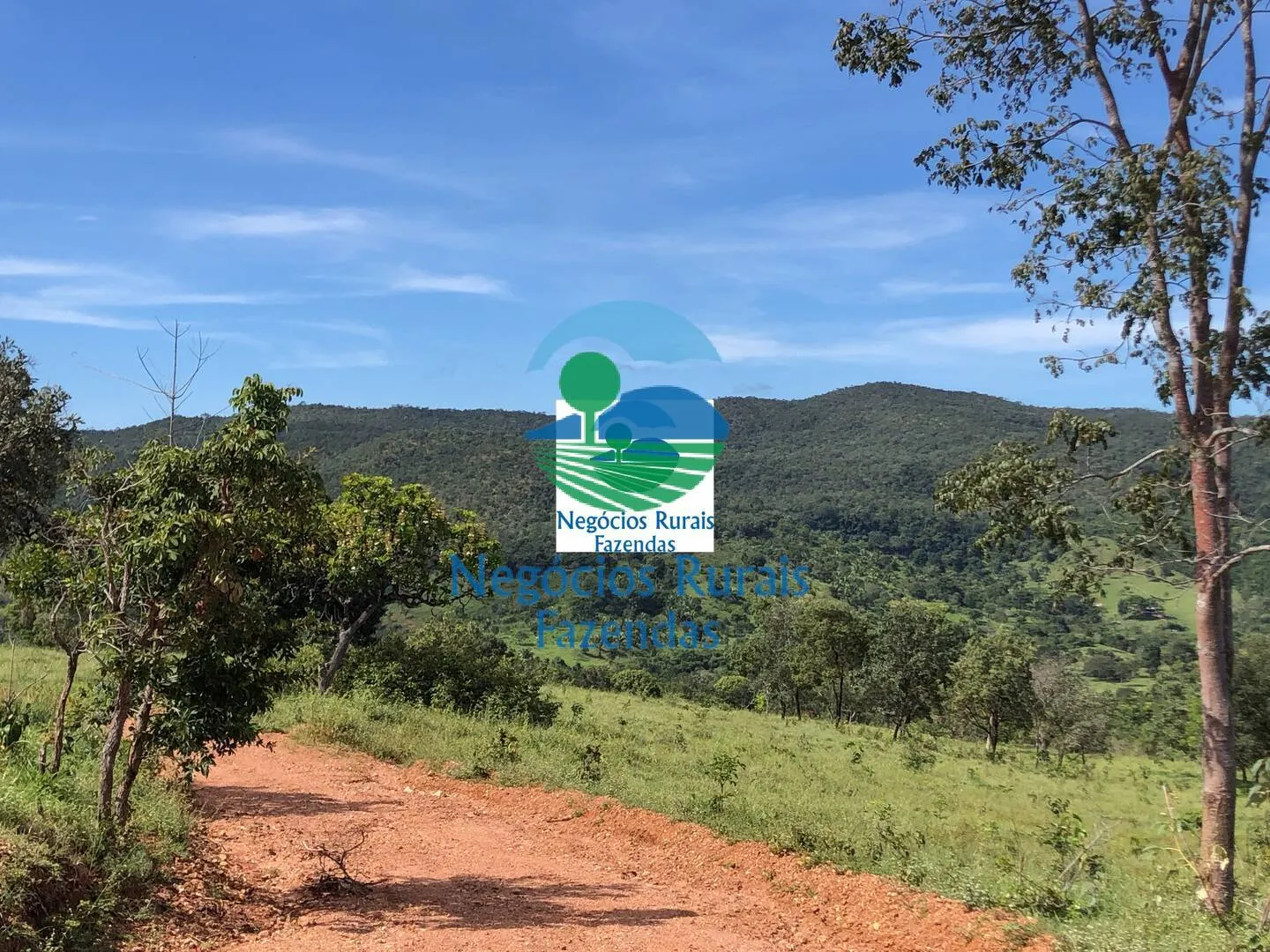 Fazenda à venda de 484 ha em Uruaçu, GO, Brasil