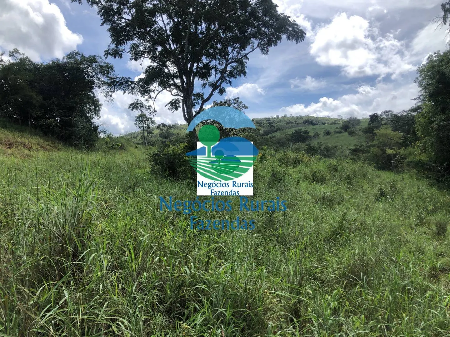 Fazenda à venda de 484 ha em Uruaçu, GO, Brasil