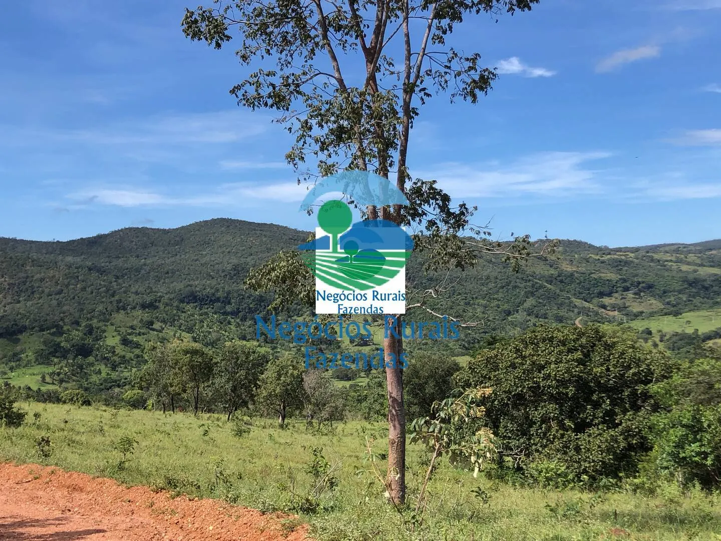 Fazenda à venda de 484 ha em Uruaçu, GO, Brasil