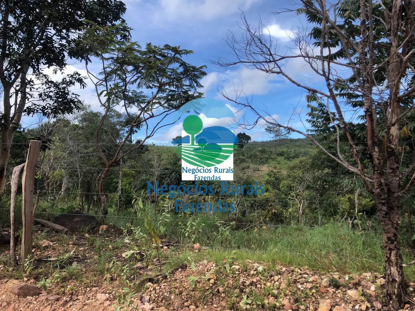 Fazenda à venda de 484 ha em Uruaçu, GO, Brasil