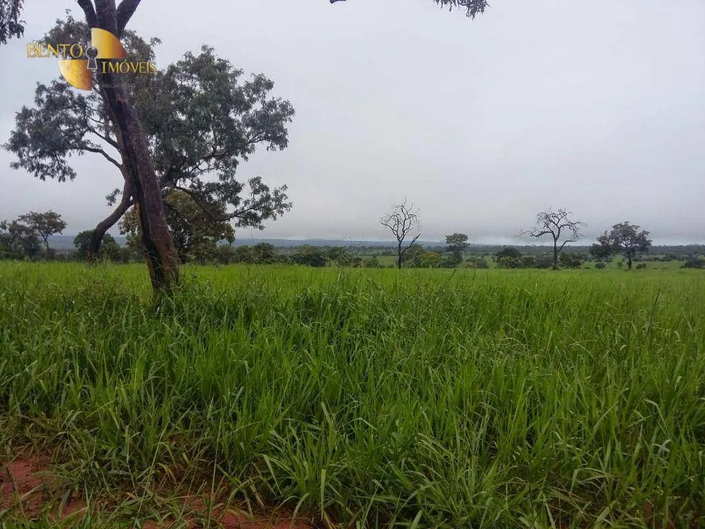 Farm for sale of 2,545 acres in Primavera do Leste, MT, Brazil