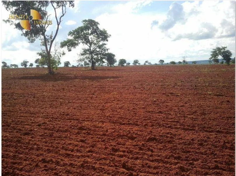 Farm for sale of 2,545 acres in Primavera do Leste, MT, Brazil
