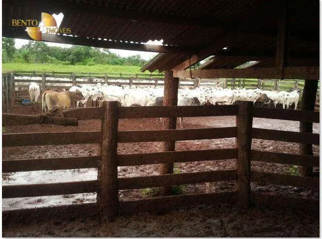 Farm for sale of 2,545 acres in Primavera do Leste, MT, Brazil