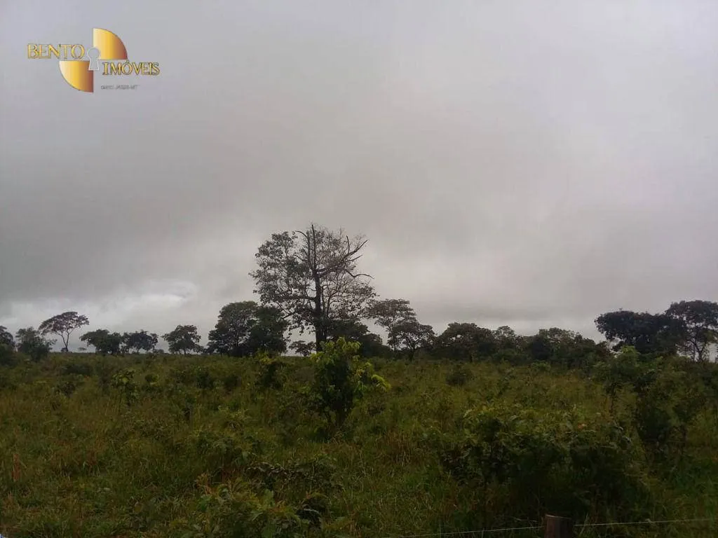 Farm for sale of 2,545 acres in Primavera do Leste, MT, Brazil