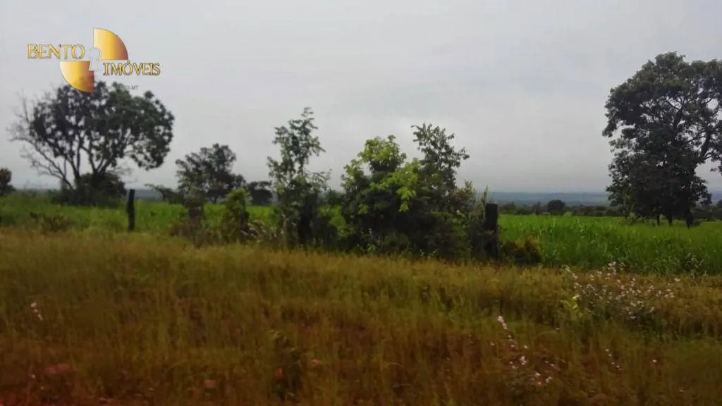 Farm for sale of 2,545 acres in Primavera do Leste, MT, Brazil