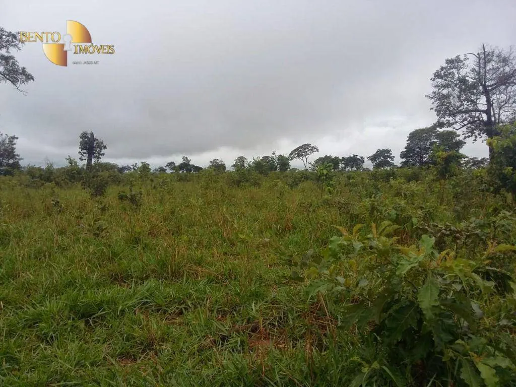 Farm for sale of 2,545 acres in Primavera do Leste, MT, Brazil