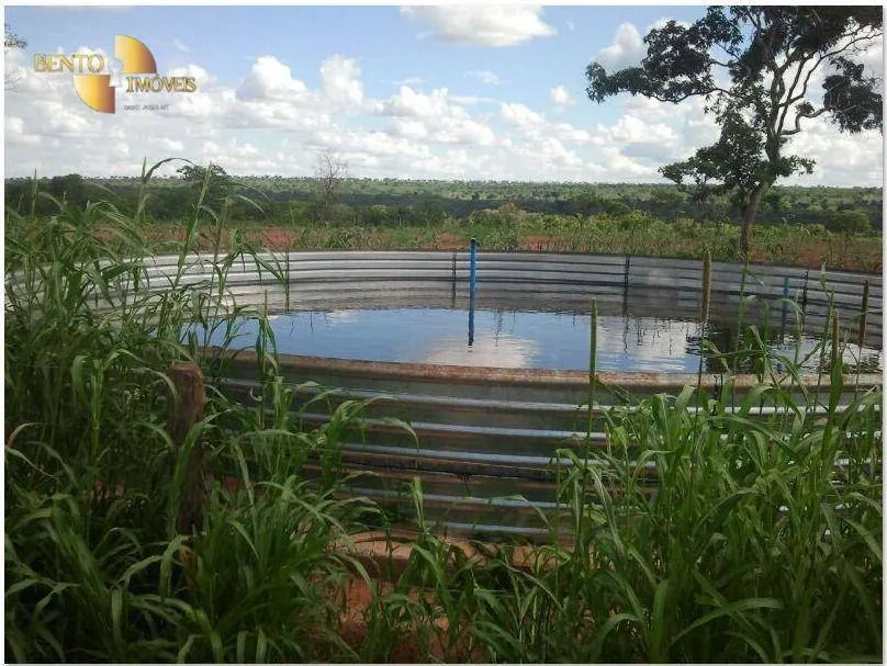 Farm for sale of 2,545 acres in Primavera do Leste, MT, Brazil