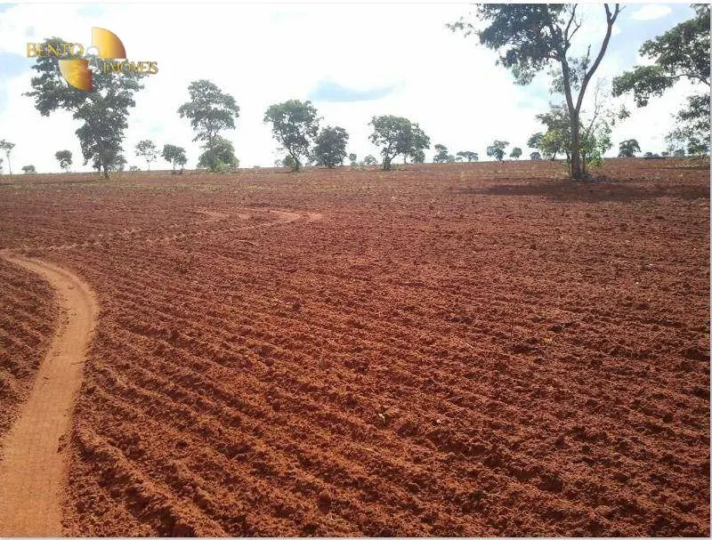 Farm for sale of 2,545 acres in Primavera do Leste, MT, Brazil