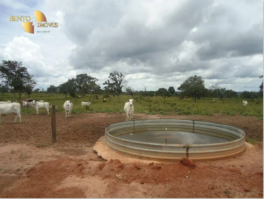 Farm for sale of 2,545 acres in Primavera do Leste, MT, Brazil