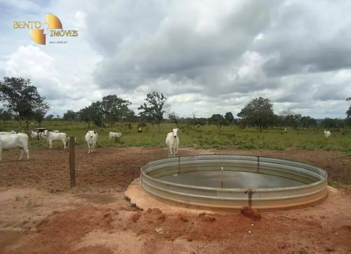 Fazenda à venda de 1.030 ha em Primavera do Leste, MT, Brasil