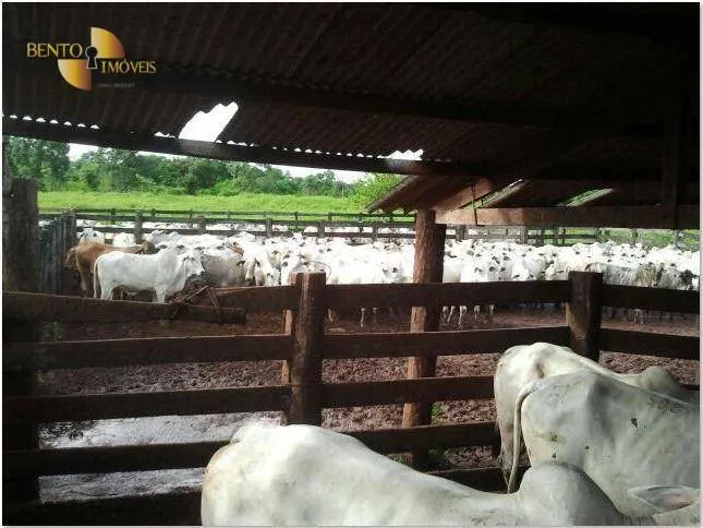 Farm for sale of 2,545 acres in Primavera do Leste, MT, Brazil