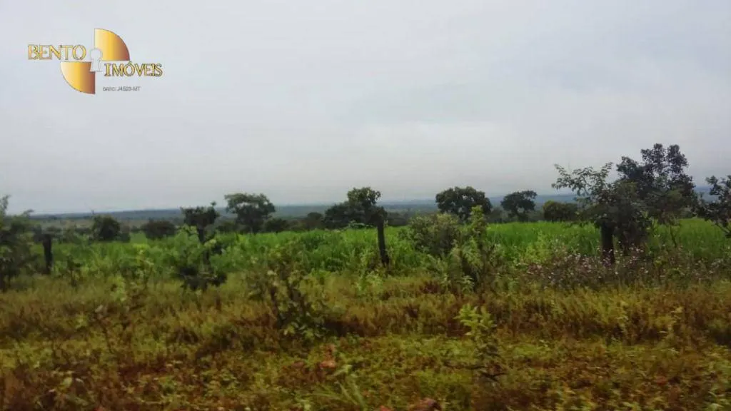 Farm for sale of 2,545 acres in Primavera do Leste, MT, Brazil