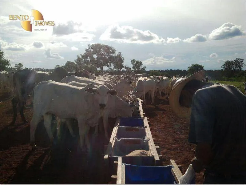 Farm for sale of 2,545 acres in Primavera do Leste, MT, Brazil